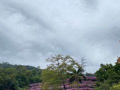 -深圳仙湖植物园