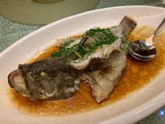 -大丰苑(海韵店)