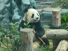 -大连森林动物园