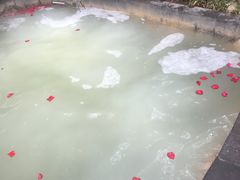 -西安国际创新人才交流中心•药浴温泉