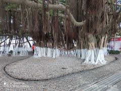 -胡里山炮台