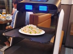 -佶政筋饼·新概念(安阳路店)