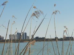 -天津东丽湖风景区