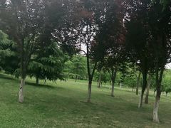 -西安电子科技大学-海棠餐厅