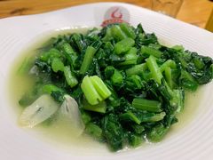 钵钵小苦菜-老滇山寨•云南特色菜•地方菜•民族风情歌舞表演(金碧店)