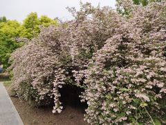 -老君堂公园