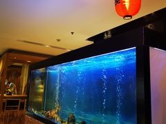 -西村日本料理(香格里拉饭店)
