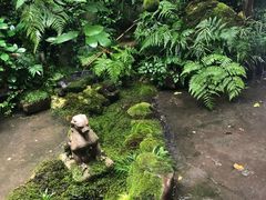 -植觉
