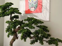 大堂-渔嫂烧河鲜•土菜馆(中正天街店)