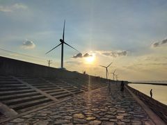 -上海长兴岛郊野公园