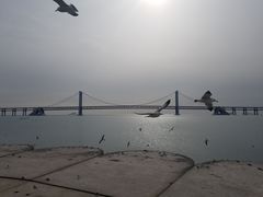 -星海湾跨海大桥