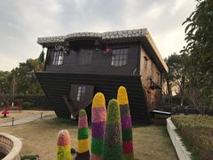 -金山农民画村-枫泾波兰倒置屋