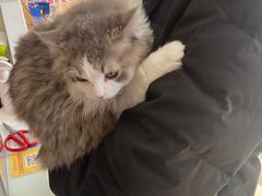 -宠福鑫康馨动物医院·骨科·眼科