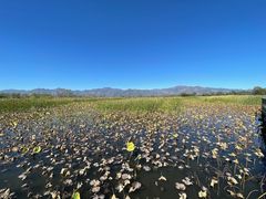 -野鸭湖国家湿地公园