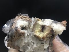 -奈雪的茶(新天地广场PRO店)