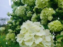 -苏州上方山国家森林公园