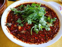 麻辣三角蜂-胖大姐黄辣丁鱼庄(新津店)