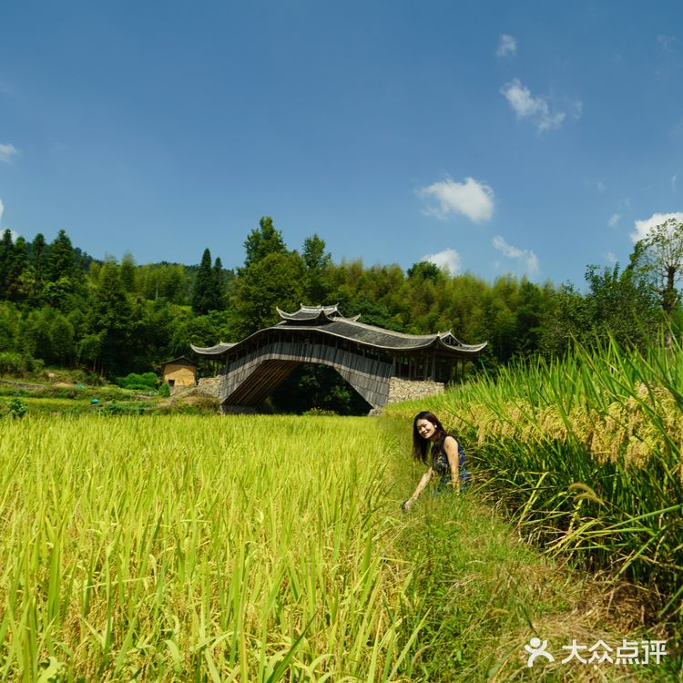 泰顺旅游的第一站！