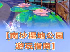 -大湾区中央湿地公园