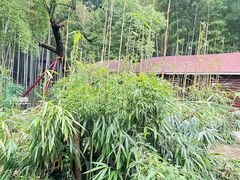 -宝岩生态观光园