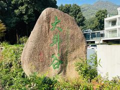 -龙坞茶村