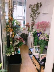 -J Plus日式美甲美睫沙龙