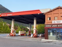 -中国石化加油站(武隆服务区北侧站)