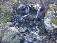 -终南山国家森林公园