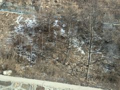 -灵山