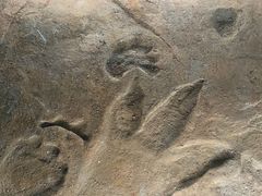 -湖南省地质博物馆