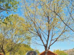 -九如山休闲旅游度假区