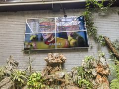 -蔼若春.传承三十年云南菜(金碧公园店)