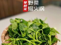 -攀枝花野菜铜火锅(万科凯德店)
