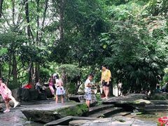 -成都市活水公园