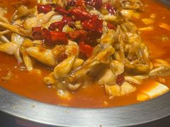 -美蛙四季(亦庄店)