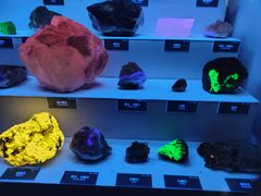 -湖南省地质博物馆