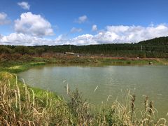 -塞罕坝国家级自然保护区