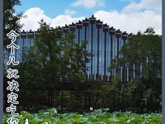 -上海醉白池公园