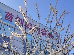 -首创奥特莱斯(北京店)