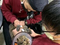 -PETKIT小佩宠物(昭化店)
