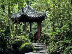 -西岭雪山大飞水景区