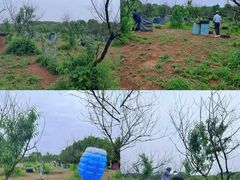 -梁子湖东篱老屋生态庄园