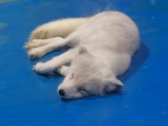 -顺德南宏海立方海洋公园
