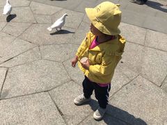 -无锡动物园·太湖欢乐园