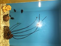 iphone_upload_pic-北戴河圣蓝海洋公园