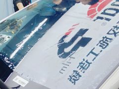 -龙粤汽车贴膜·中国航天山由