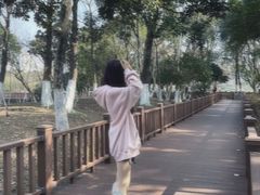 -青枫公园