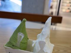 -野人先生Gelato(上海长宁龙之梦店)