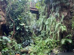 -华南国家植物园-售票处