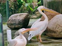 -灵玲国际马戏城
